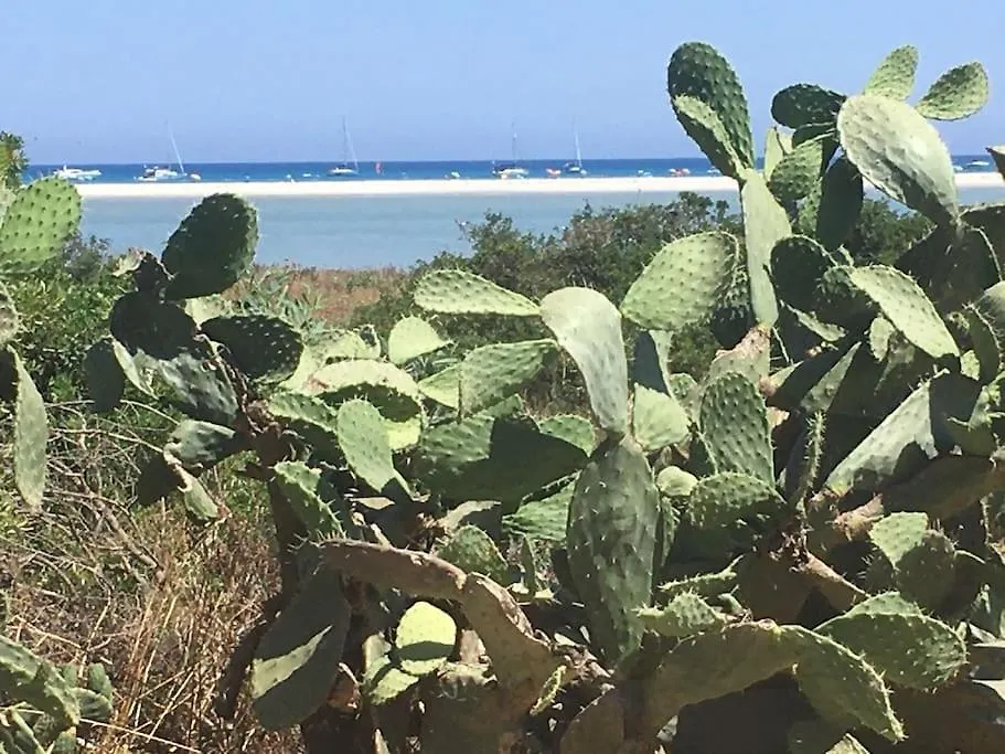 Villa Con Piscina Sulla Spiaggia Di Porto Giunco. Notteri 0*,